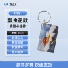 瓢虫花-058 